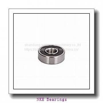 NKE Bearings