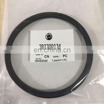 293200134   wear ring seal