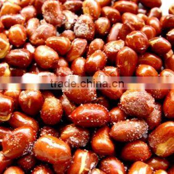 fried peanuts hot sale from China