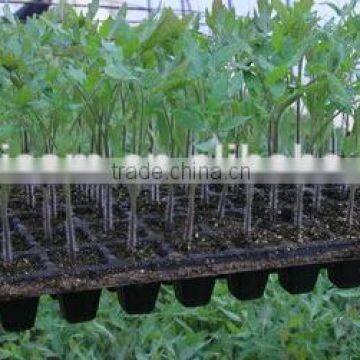 Plant Seedling Nursery Seed Tray photo-5