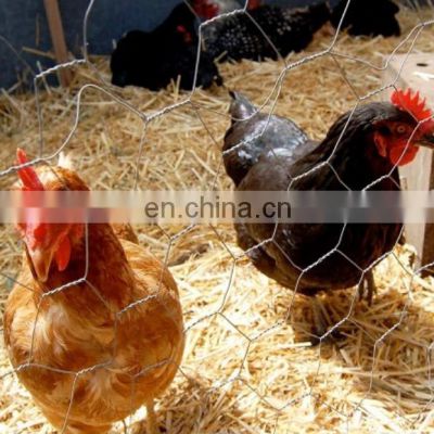 Cheap Price Chicken Cage Coop Fence Wire Mesh Rolls Hexagonal Wire Mesh