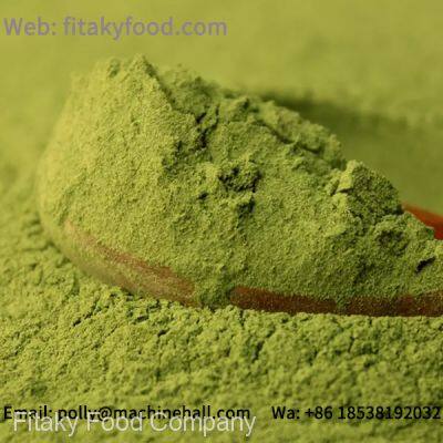 Organic Spinach Powder For Sale Without Any Food Additives photo-2