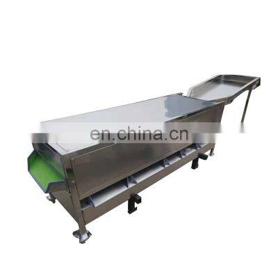 Stainless Steel Fruit Sorting Machine for Sale photo-5