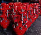 Oil well  Stuffing box DPSB