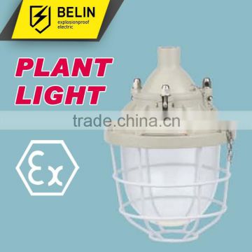 BAD51-200D Flameproof Explosion proof Light