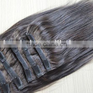 100% Human Hair Extensions Clip In Hair