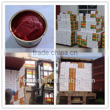 Lowest Price,Tomato paste birx28-30%,2012 fresh tomato paste,export BANJUL