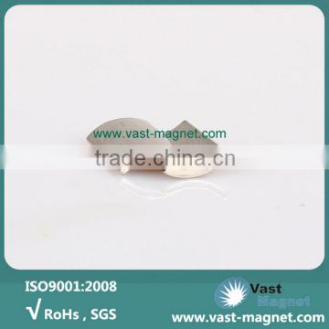 Motor Arc Magnet/Magnetic Tile