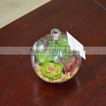 Wholesale Glass Globe Hanging Succulent Plants Terrarium Geometric photo-2