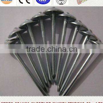 umbrella head roofing nails for asphalt shingles with plain shank