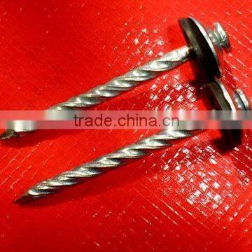 Africa Market Fast Sell Galvanized Oval Head Twisted Nails photo-6