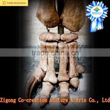 Dino Park Outdoor Museum Adventure photo-1