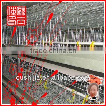 chicken poultry layer cage(manufactory)