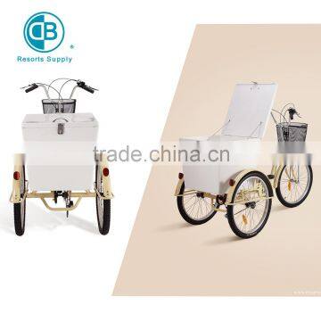 Aluminium alloy cargo tricycle bike