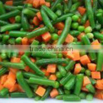 Supply IQF Frozen Mixed Vegetables Peas, Carrots,Sweet Corn,Green Beans