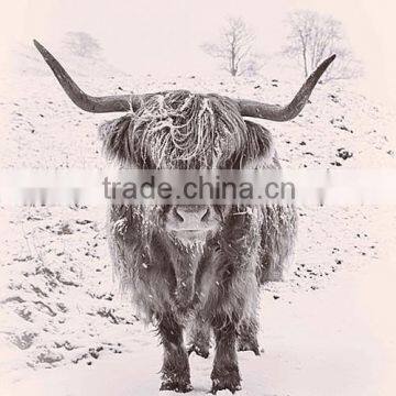 Home Decorative Photo Printing Pillow Cushion Cover photo-2