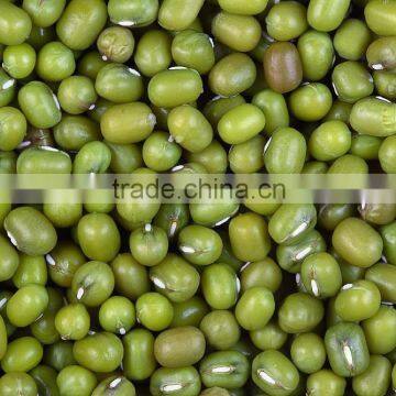 Green Mung Beans