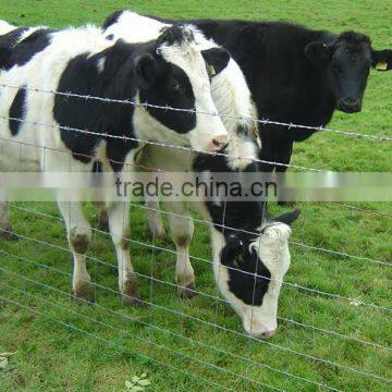 Animal/fence netting fence field (factory)