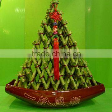 Big Triangle Pyramid Lucky Bamboo Air Bonsai Tree Dracaena Sanderiana Indoor Water Aquatic Plants Nursery Garden Decoration photo-2