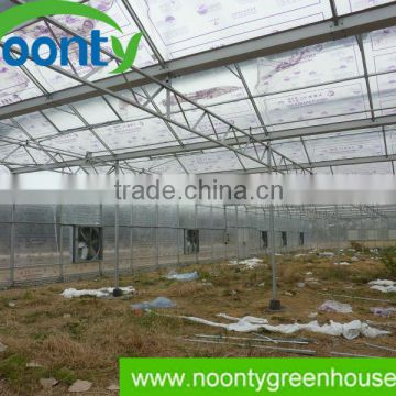 Noonty Greenhouse