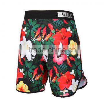 Manufacturers Wholesale Latest Fashion Color Changing Hot Brazilian Mens swimwear