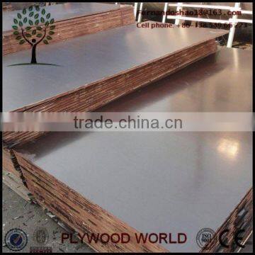 15mm 18mm Film Faced panel plywood/plywood sheet/plywood board