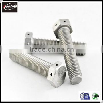 customized Hex Bolt with Hole in Head or end