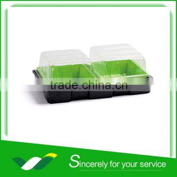 Plastic propagator trays, sprouting trays LJ-2019