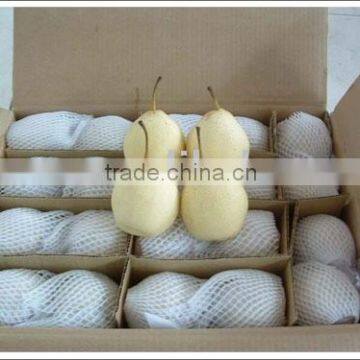 Fresh Ya Pear Fruit in China