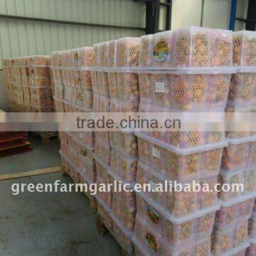 Mandarin Orange photo-3