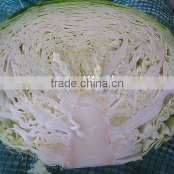 Wholesale price of cabbage