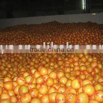 Sell Chinese fresh honey pomelo