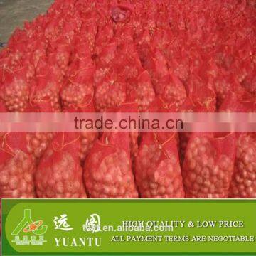 Export Quality Fresh Red Onion photo-2