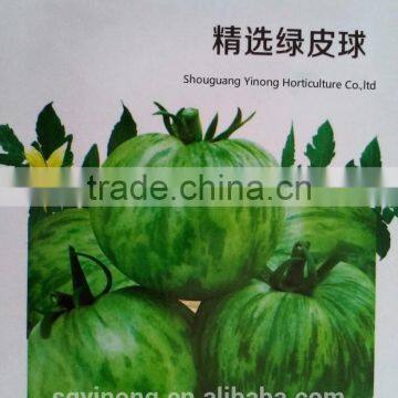 Mid-early Maturity High Resistant Hybrid Green Tomato Seeds Green Ball F1 photo-3