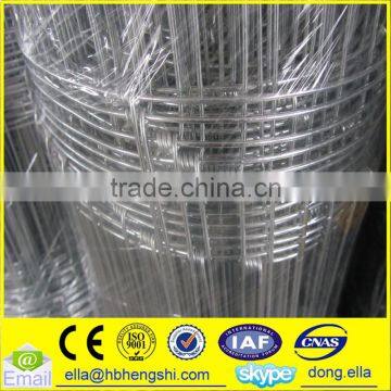 Field Mesh Fence