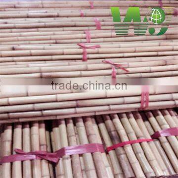 WY- 084 Wolesale Farming Bamboo Poles with high quality