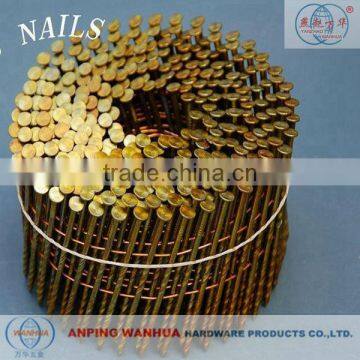 High Quality Yellow Coated Ring Shank Coil Nails (ISO 9001 Manufacturer)