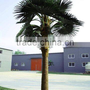 Artificial Palm Tree Phoenix Palm Tree photo-2