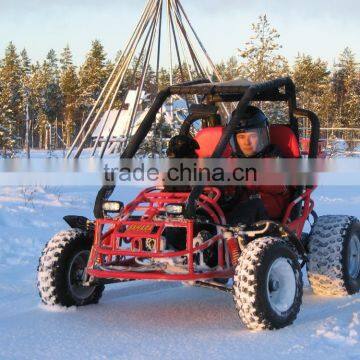 Popular EEC 150cc/250cc Buggy photo-4