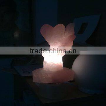 Salt lamps from Himalaya