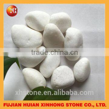 Whole Sale Pebble Stepping Stone for Garden Floor photo-6