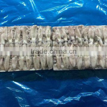 2015 Baby Squid photo-2