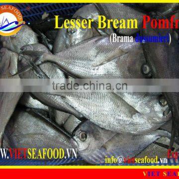 FROZEN W/R LESSER BREAM POMFRET