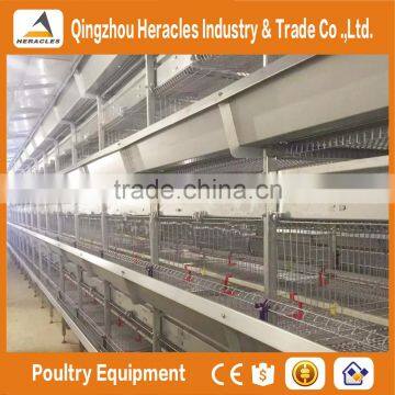 Hercles High Quality Poultry Equipment Automatic Chicken Layer Cage/egg Laying Cages for Sale in Philippines photo-2