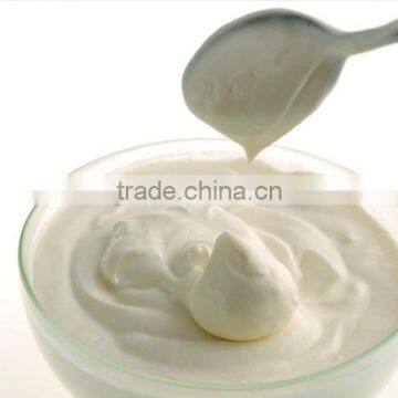 Homemade Yogurt Powder photo-2