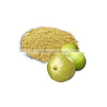 Phyllanthus Amarus Extract