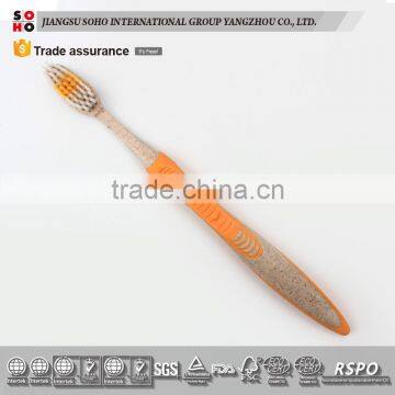 Plastic professional oem/odm toothbrush with CE certificate
