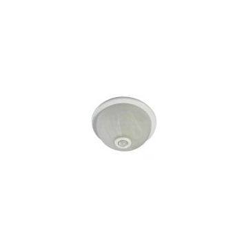 Ceiling Light With PIR Sensor