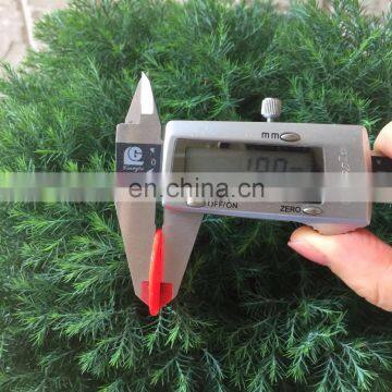 SGS Printing the Logo Shopping Trolley Plastic PS Fruit Coins photo-6