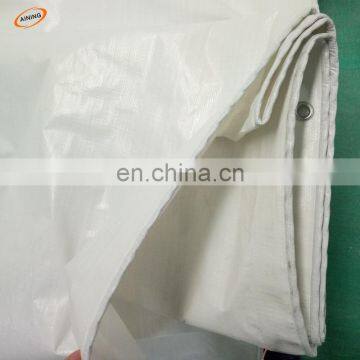 China rolls korea PE waterproof pvc tarpaulin